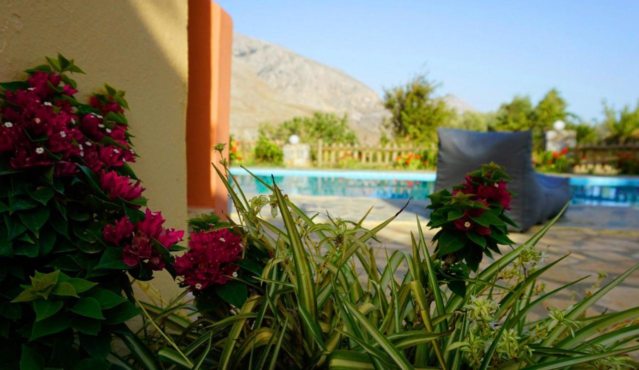 Villa Despina 1 Plakias Private Villa, Private Swimming Pool Garden,Amazing View Lefkogeia Exteriör bild